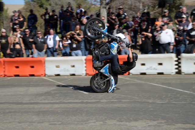 dsc_1314.jpg